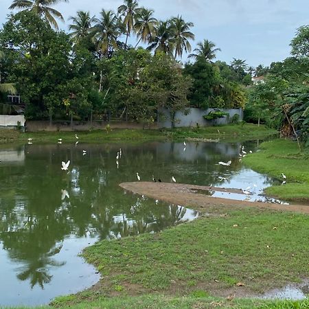 Comfort Rest Hotel Sri Jayawardenapura Kotte Kültér fotó